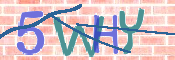 CAPTCHA 驗證圖片