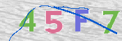 CAPTCHA 驗證圖片