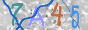 CAPTCHA 驗證圖片
