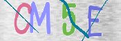 CAPTCHA 驗證圖片