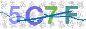CAPTCHA 驗證圖片