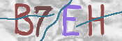 CAPTCHA 驗證圖片