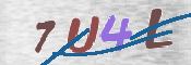 CAPTCHA 驗證圖片