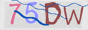CAPTCHA 驗證圖片