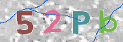 CAPTCHA 驗證圖片