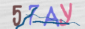 CAPTCHA 驗證圖片