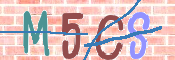 CAPTCHA 驗證圖片