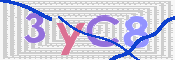 CAPTCHA 驗證圖片