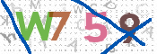 CAPTCHA 驗證圖片