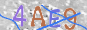 CAPTCHA 驗證圖片