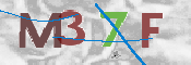 CAPTCHA 驗證圖片
