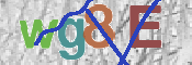 CAPTCHA 驗證圖片