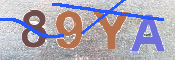 CAPTCHA 驗證圖片