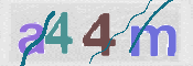 CAPTCHA 驗證圖片