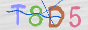 CAPTCHA 驗證圖片