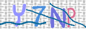 CAPTCHA 驗證圖片