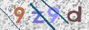 CAPTCHA 驗證圖片
