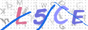CAPTCHA 驗證圖片