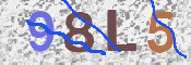 CAPTCHA 驗證圖片