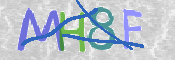 CAPTCHA 驗證圖片