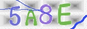 CAPTCHA 驗證圖片