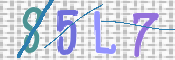 CAPTCHA 驗證圖片