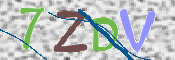 CAPTCHA 驗證圖片