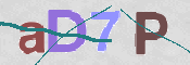 CAPTCHA 驗證圖片
