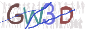 CAPTCHA 驗證圖片