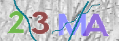 CAPTCHA 驗證圖片