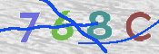 CAPTCHA 驗證圖片