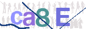 CAPTCHA 驗證圖片