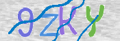 CAPTCHA 驗證圖片