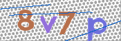CAPTCHA 驗證圖片
