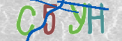 CAPTCHA 驗證圖片