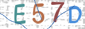 CAPTCHA 驗證圖片