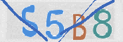 CAPTCHA 驗證圖片