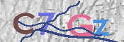 CAPTCHA 驗證圖片