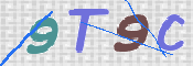CAPTCHA 驗證圖片