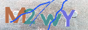 CAPTCHA 驗證圖片
