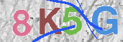 CAPTCHA 驗證圖片