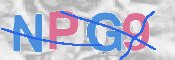 CAPTCHA 驗證圖片