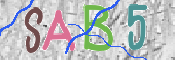 CAPTCHA 驗證圖片