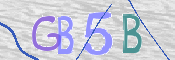 CAPTCHA 驗證圖片