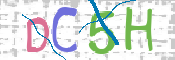 CAPTCHA 驗證圖片