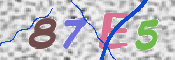 CAPTCHA 驗證圖片