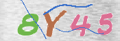 CAPTCHA 驗證圖片