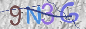 CAPTCHA 驗證圖片