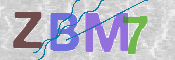 CAPTCHA 驗證圖片