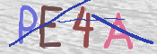 CAPTCHA 驗證圖片